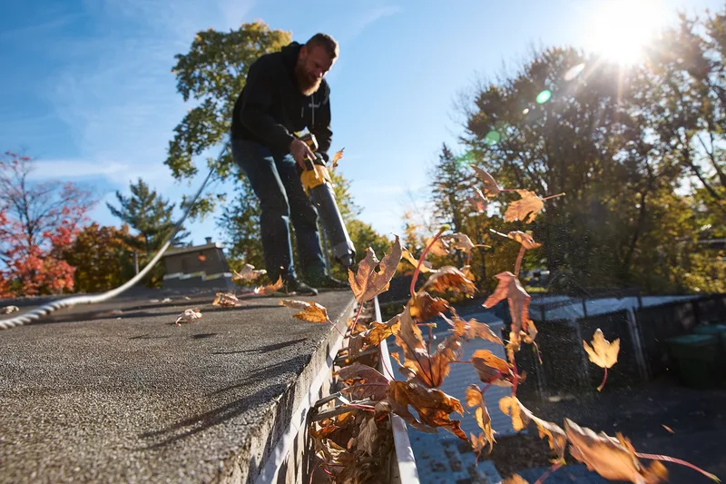 Professional gutter cleaning